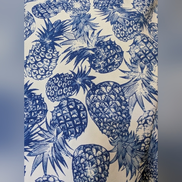 Alyx White Dress with Blue Pineapple Print. Size 6 - Picture 13 of 14
